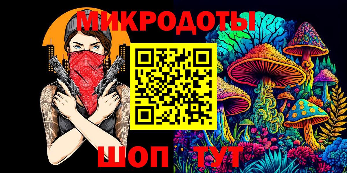 продажа наркотиков  Псилоцибиновые грибы Psilocybe  Вход с VPN  Котовск 